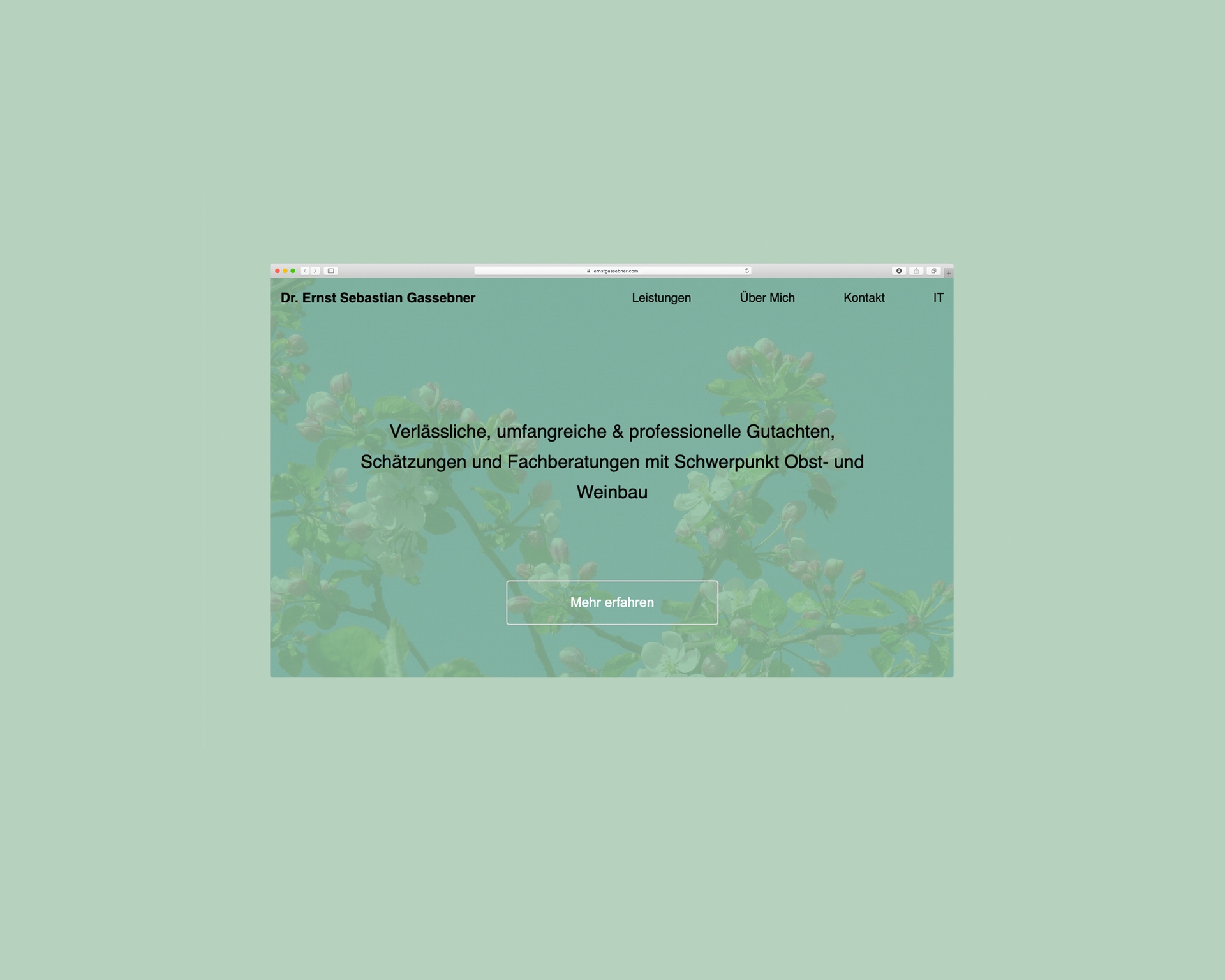 mockup